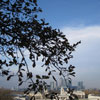 Greenwich Park