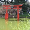 Japanese Hill-and-Pond Garden: Torii
