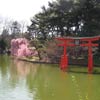 Japanese Hill-and-Pond Garden