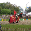 Mediaeval Festival