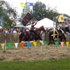 Mediaeval Festival