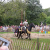Mediaeval Festival