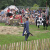 Mediaeval Festival