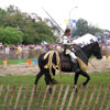 Mediaeval Festival