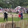 Mediaeval Festival