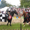 Mediaeval Festival