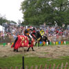 Mediaeval Festival