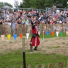 Mediaeval Festival