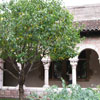 The Cloisters